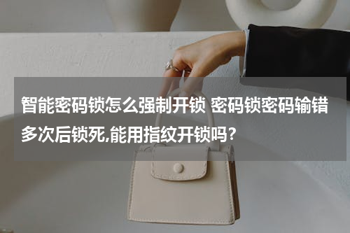 智能密码锁怎么强制开锁 密码锁密码输错多次后锁死,能用指纹开锁吗？
