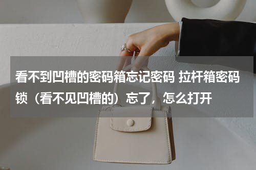 看不到凹槽的密码箱忘记密码 拉杆箱密码锁（看不见凹槽的）忘了，怎么打开
