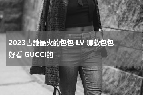 2023古驰最火的包包 LV 哪款包包好看 GUCCI的