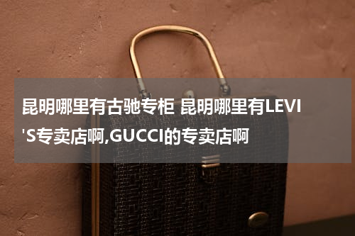 昆明哪里有古驰专柜 昆明哪里有LEVI'S专卖店啊,GUCCI的专卖店啊