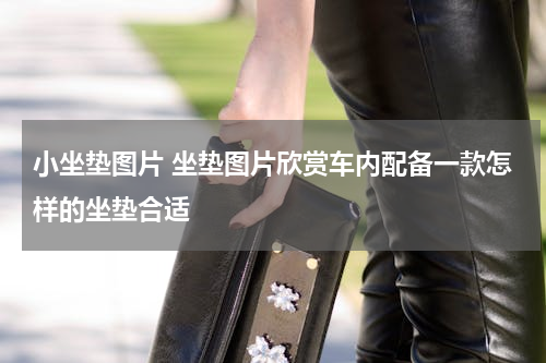 小坐垫图片 坐垫图片欣赏车内配备一款怎样的坐垫合适