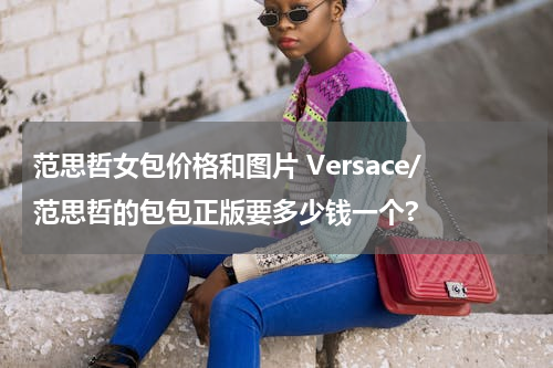 范思哲女包价格和图片 Versace/范思哲的包包正版要多少钱一个?