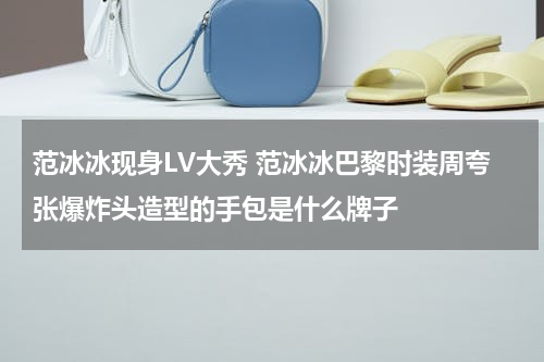 范冰冰现身LV大秀 范冰冰巴黎时装周夸张爆炸头造型的手包是什么牌子