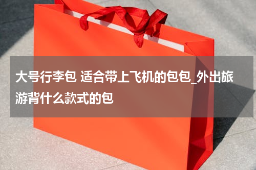 大号行李包 适合带上飞机的包包_外出旅游背什么款式的包