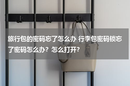 旅行包的密码忘了怎么办 行李包密码锁忘了密码怎么办？怎么打开？