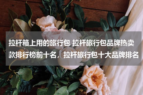 拉杆箱上用的旅行包 拉杆旅行包品牌热卖款排行榜前十名，拉杆旅行包十大品牌排名