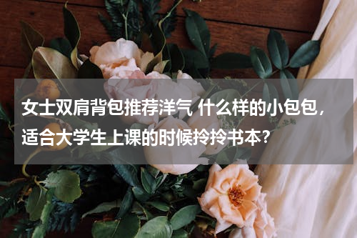 女士双肩背包推荐洋气 什么样的小包包，适合大学生上课的时候拎拎书本？