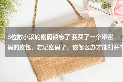 3位数小滚轮密码锁忘了 我买了一个带密码的皮包，忘记密码了，该怎么办才能打开？一组三个数字。