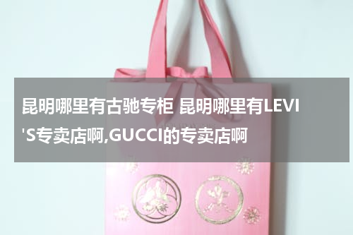 昆明哪里有古驰专柜 昆明哪里有LEVI'S专卖店啊,GUCCI的专卖店啊