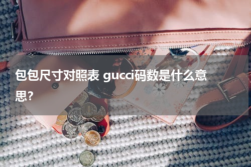 包包尺寸对照表 gucci码数是什么意思？