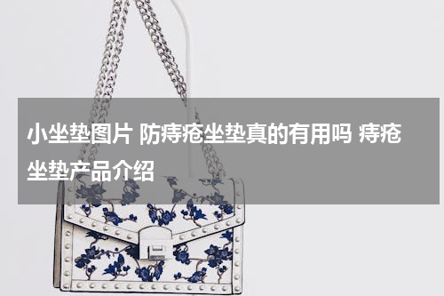 小坐垫图片 防痔疮坐垫真的有用吗 痔疮坐垫产品介绍