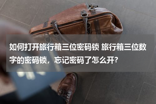 如何打开旅行箱三位密码锁 旅行箱三位数字的密码锁，忘记密码了怎么开？