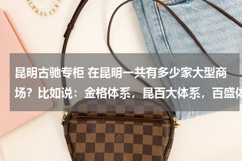 昆明古驰专柜 在昆明一共有多少家大型商场？比如说：金格体系，昆百大体系，百盛体系，王府井，金鹰.....还有它的档次..
