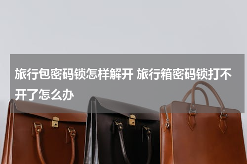旅行包密码锁怎样解开 旅行箱密码锁打不开了怎么办