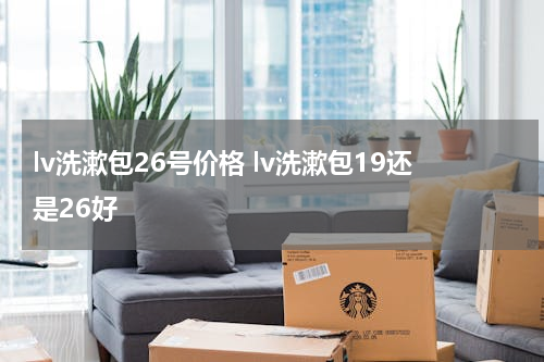 lv洗漱包26号价格 lv洗漱包19还是26好