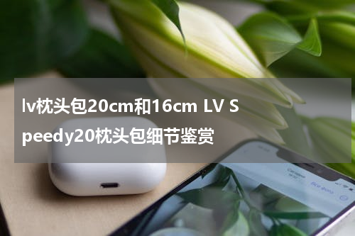 lv枕头包20cm和16cm LV Speedy20枕头包细节鉴赏