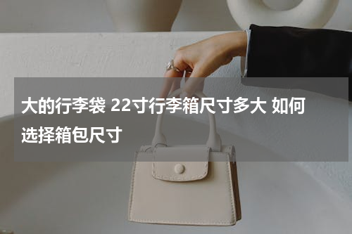 大的行李袋 22寸行李箱尺寸多大 如何选择箱包尺寸