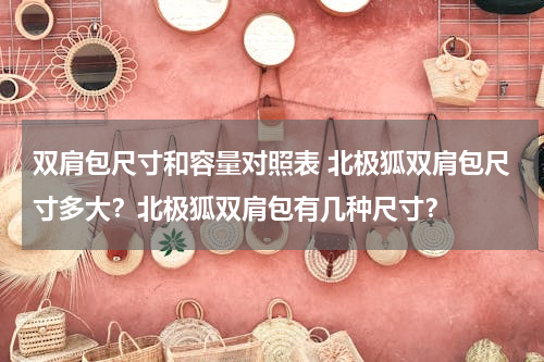 双肩包尺寸和容量对照表 北极狐双肩包尺寸多大？北极狐双肩包有几种尺寸？