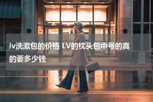 lv洗漱包的价格 LV的枕头包中号的真的要多少钱