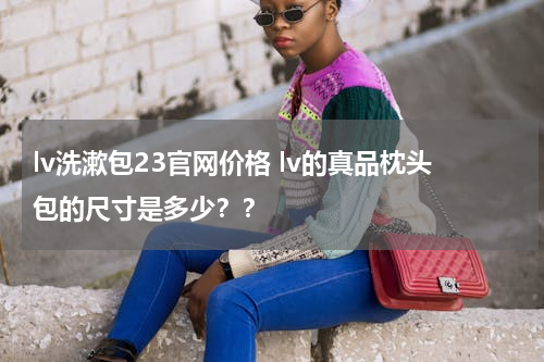 lv洗漱包23官网价格 lv的真品枕头包的尺寸是多少？？