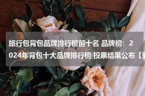 旅行包背包品牌排行榜前十名 品牌榜：2024年背包十大品牌排行榜 投票结果公布【新】