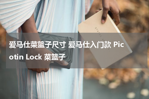 爱马仕菜篮子尺寸 爱马仕入门款 Picotin Lock 菜篮子