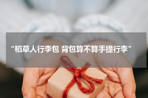“稻草人行李包 背包算不算手提行李”