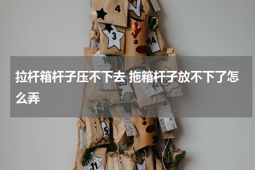 拉杆箱杆子压不下去 拖箱杆子放不下了怎么弄