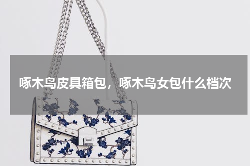 啄木鸟皮具箱包，啄木鸟女包什么档次