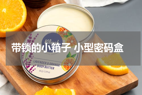 带锁的小箱子 小型密码盒
