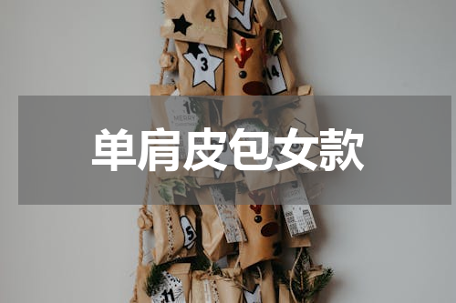 单肩皮包女款