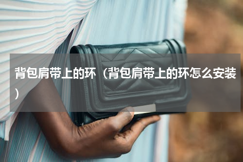 背包肩带上的环（背包肩带上的环怎么安装）