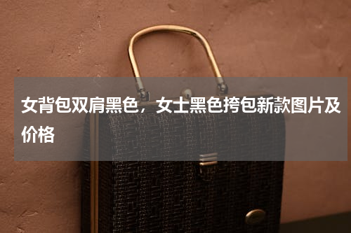 女背包双肩黑色，女士黑色挎包新款图片及价格