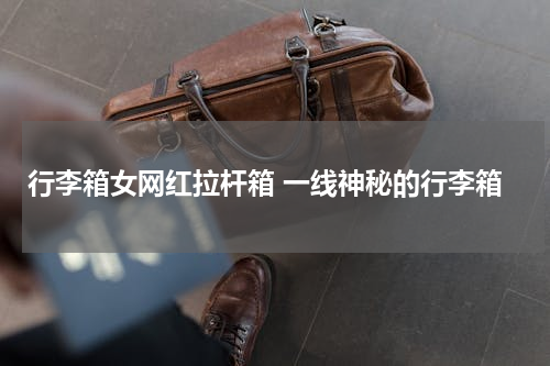 行李箱女网红拉杆箱 一线神秘的行李箱