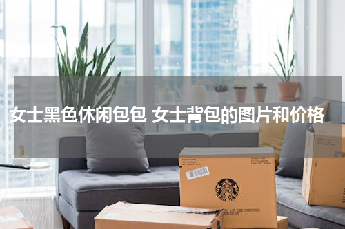 女士黑色休闲包包 女士背包的图片和价格