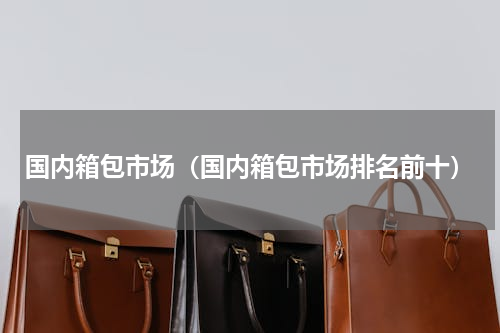 国内箱包市场（国内箱包市场排名前十）