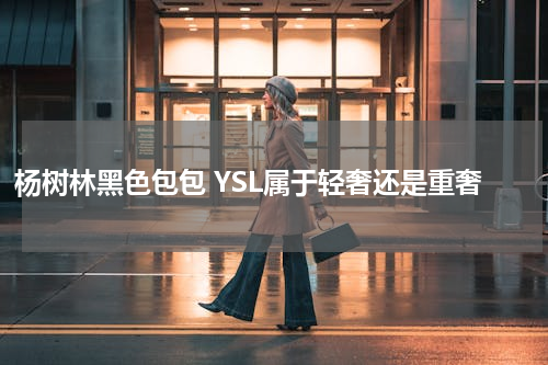 杨树林黑色包包 YSL属于轻奢还是重奢