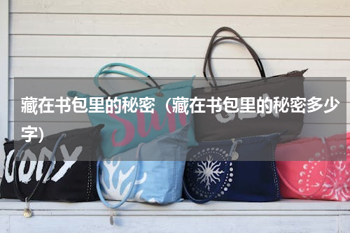 藏在书包里的秘密（藏在书包里的秘密多少字）