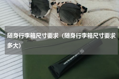 随身行李箱尺寸要求（随身行李箱尺寸要求多大）