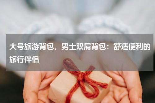 大号旅游背包，男士双肩背包：舒适便利的旅行伴侣