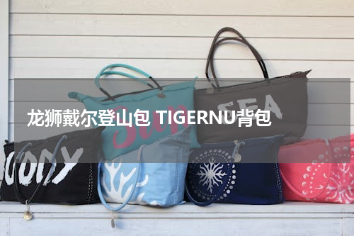 龙狮戴尔登山包 TIGERNU背包