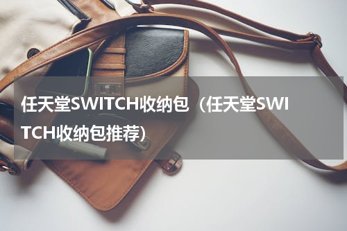 任天堂SWITCH收纳包（任天堂SWITCH收纳包推荐）