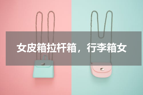 女皮箱拉杆箱，行李箱女