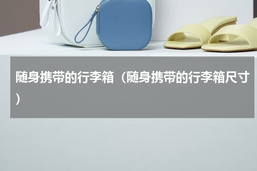 随身携带的行李箱（随身携带的行李箱尺寸）
