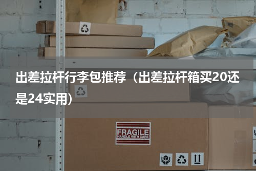 出差拉杆行李包推荐（出差拉杆箱买20还是24实用）