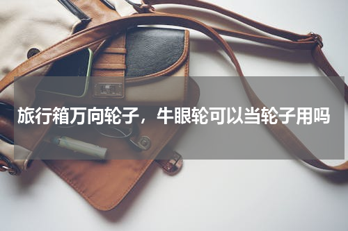 旅行箱万向轮子，牛眼轮可以当轮子用吗