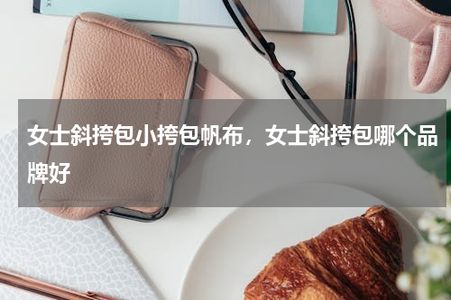 女士斜挎包小挎包帆布，女士斜挎包哪个品牌好