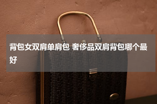 背包女双肩单肩包 奢侈品双肩背包哪个最好