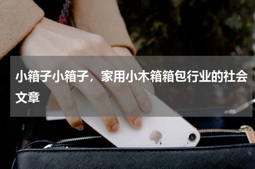小箱子小箱子，家用小木箱箱包行业的社会文章
