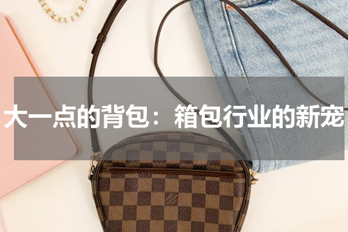 大一点的背包：箱包行业的新宠